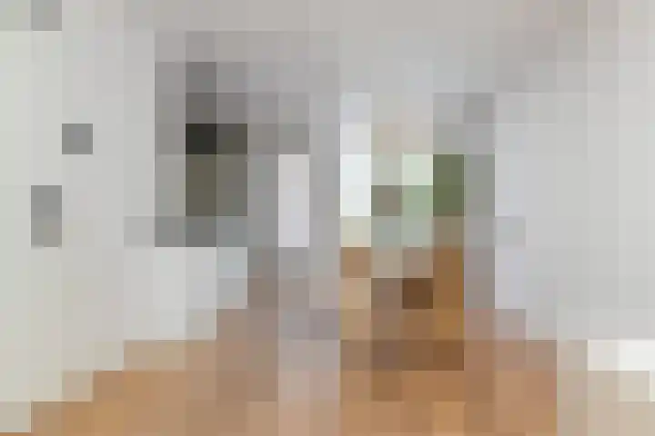Haeckmate 2 Zwolle thumbnail 5
