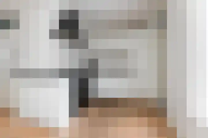 Haeckmate 2 Zwolle thumbnail 6