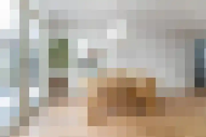 Haeckmate 2 Zwolle thumbnail 8