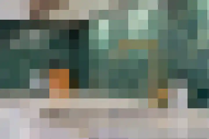Haeckmate 32 Zwolle thumbnail 11