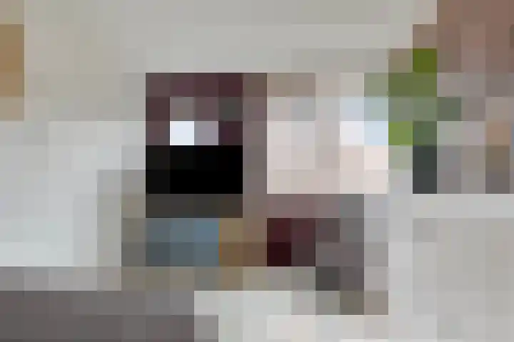 Haeckmate 32 Zwolle thumbnail 17