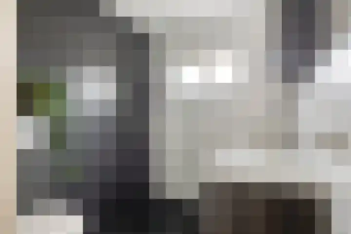Haeckmate 32 Zwolle thumbnail 20