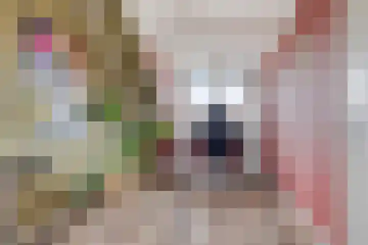 Haeckmate 32 Zwolle thumbnail 24