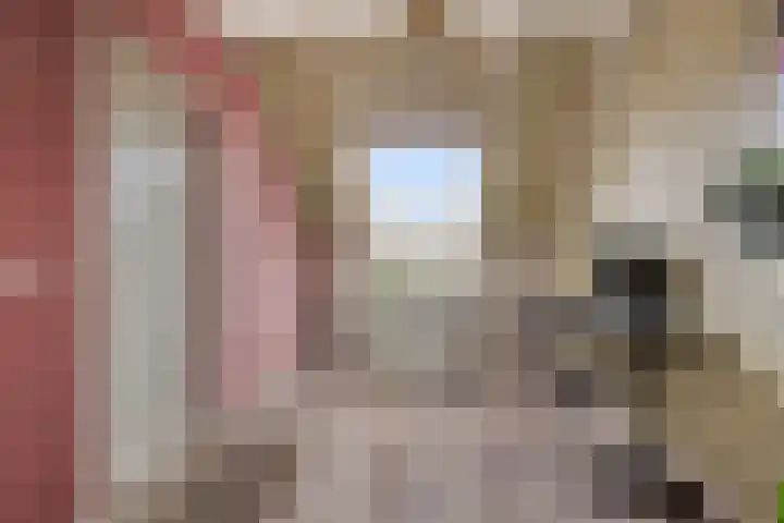 Haeckmate 32 Zwolle thumbnail 25