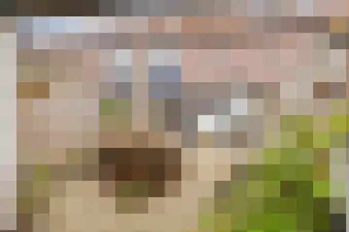 Haeckmate 32 Zwolle thumbnail 29