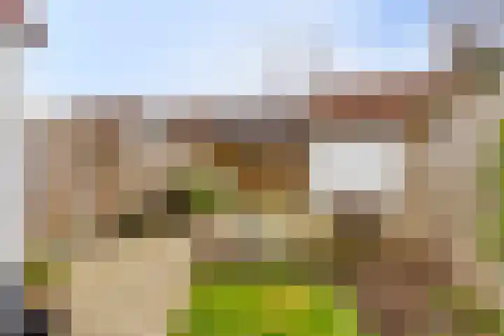 Haeckmate 32 Zwolle thumbnail 31