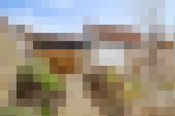 Haeckmate 32 Zwolle thumbnail 32