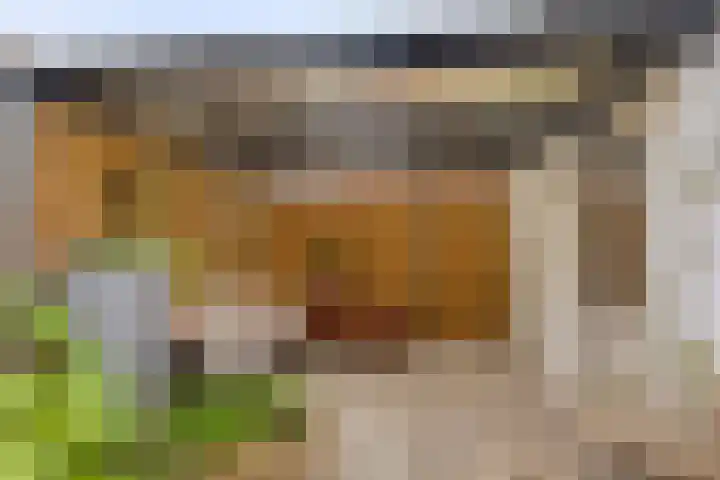 Haeckmate 32 Zwolle thumbnail 33