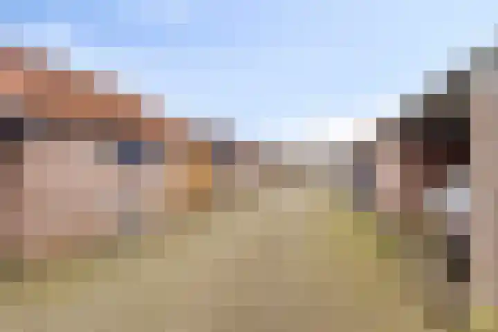 Haeckmate 32 Zwolle thumbnail 34