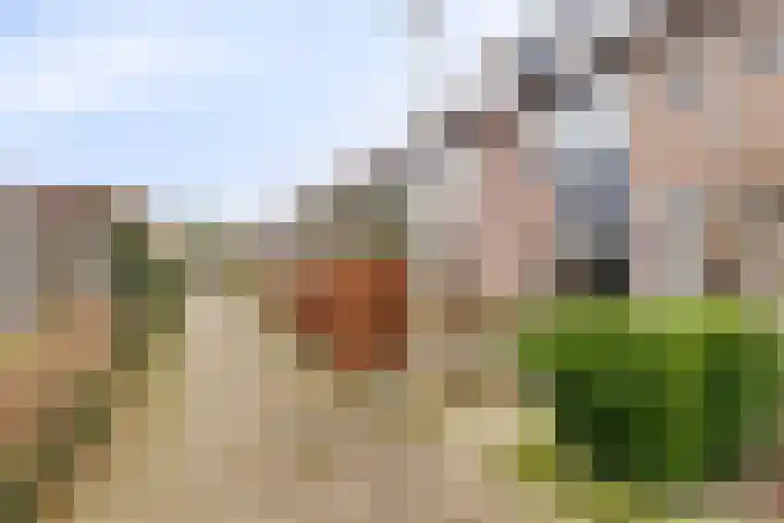 Haeckmate 32 Zwolle thumbnail 37