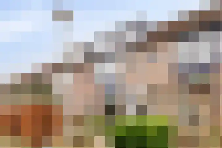 Haeckmate 32 Zwolle thumbnail 38