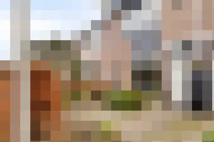 Haeckmate 32 Zwolle thumbnail 39