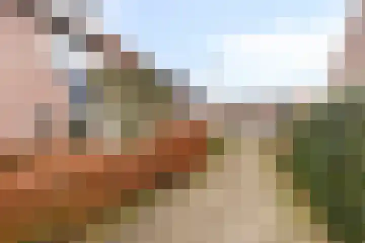 Haeckmate 32 Zwolle thumbnail 40