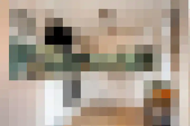 Haeckmate 32 Zwolle thumbnail 9