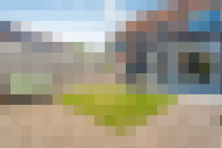 Haeckmate 4 Zwolle thumbnail 32
