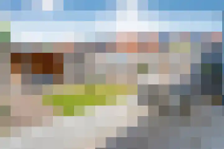 Haeckmate 4 Zwolle thumbnail 33