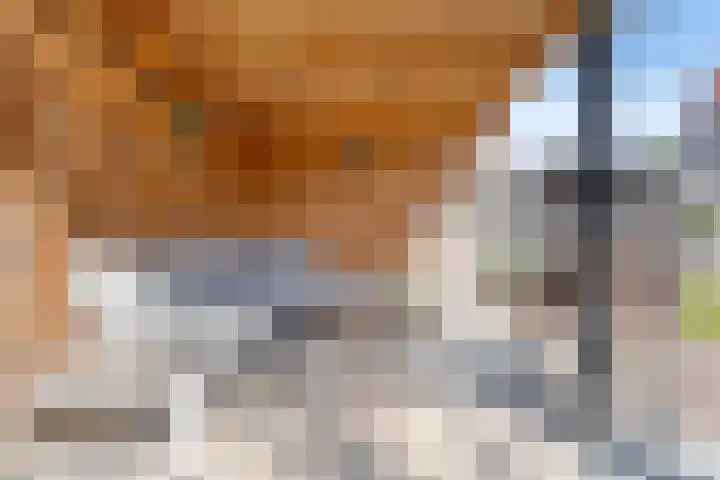 Haeckmate 4 Zwolle thumbnail 35