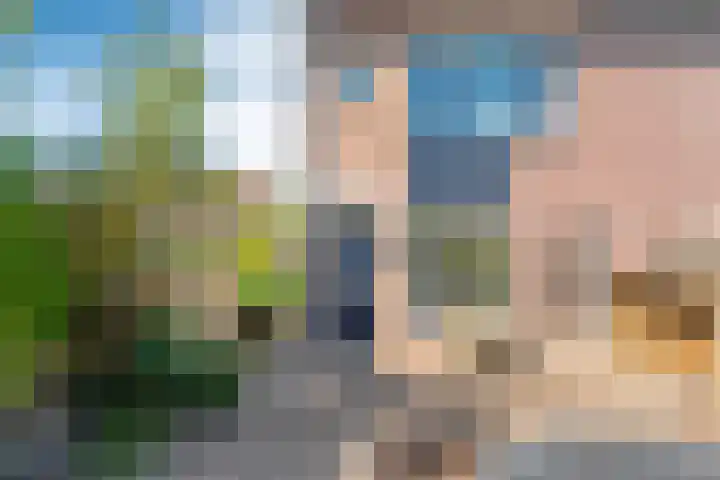Haeckmate 4 Zwolle thumbnail 37