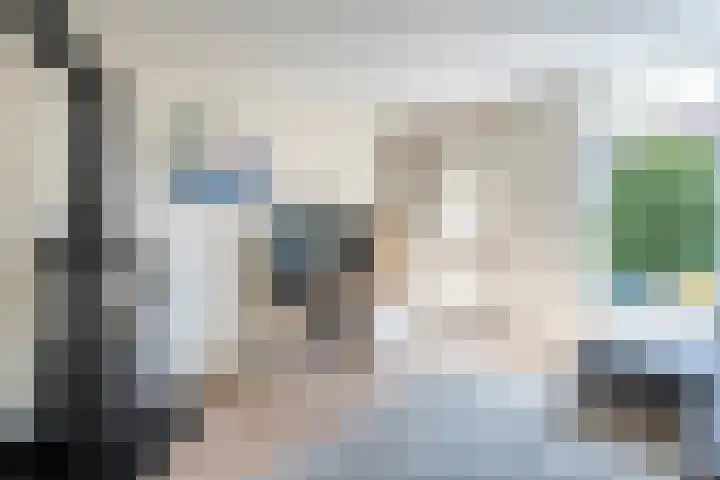 Haeckmate 4 Zwolle thumbnail 4