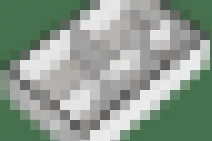 Haeckmate 4 Zwolle thumbnail 45