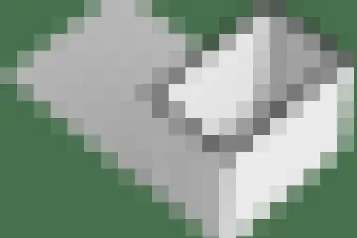 Haeckmate 4 Zwolle thumbnail 47