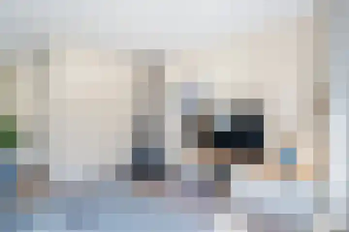 Haeckmate 4 Zwolle thumbnail 5