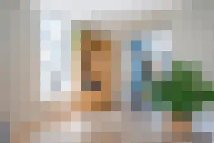 Haeckmate 4 Zwolle thumbnail 6