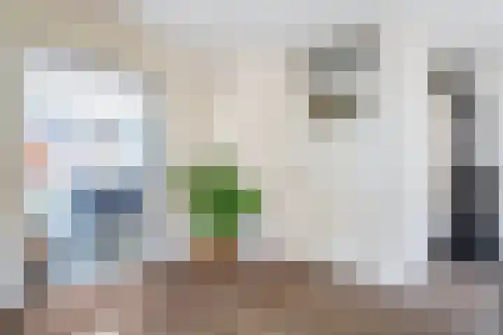 Haeckmate 4 Zwolle thumbnail 7