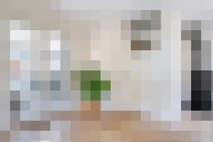 Haeckmate 4 Zwolle thumbnail 8
