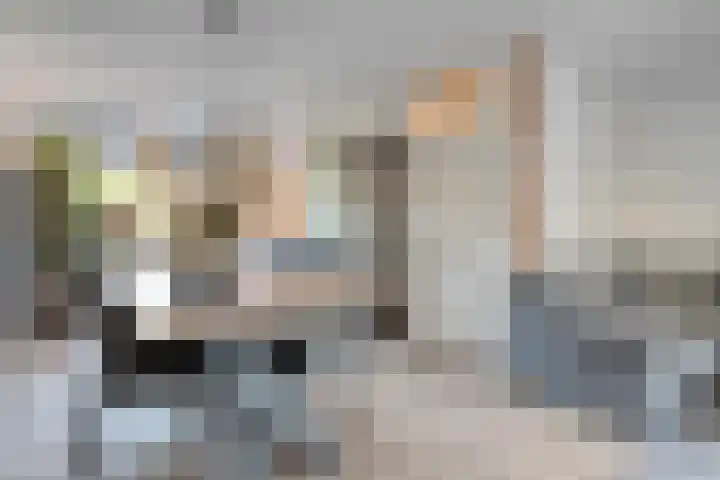 Haeckmate 46 Zwolle thumbnail 16