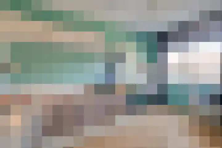 Haeckmate 46 Zwolle thumbnail 32