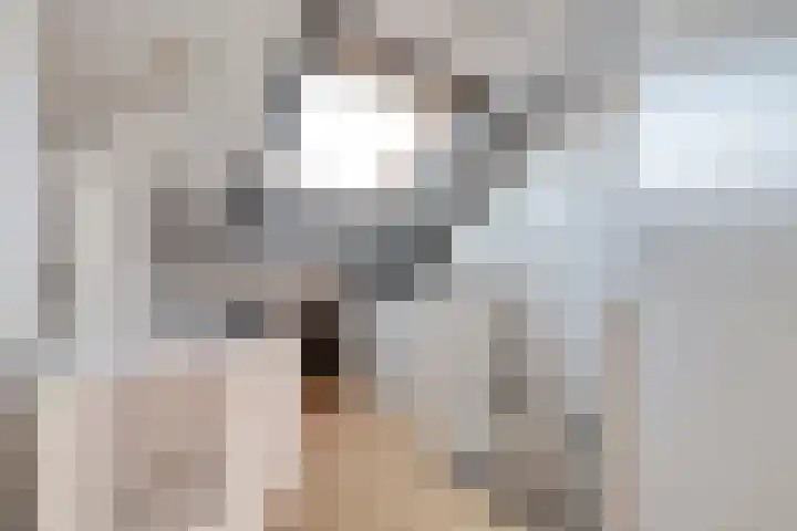 Haeckmate 46 Zwolle thumbnail 34