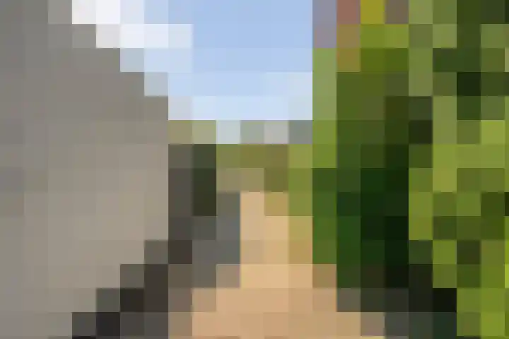 Haeckmate 46 Zwolle thumbnail 41