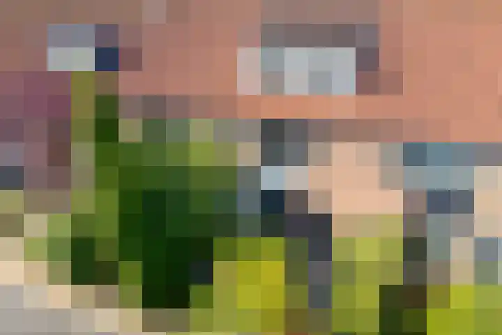Haeckmate 46 Zwolle thumbnail 42