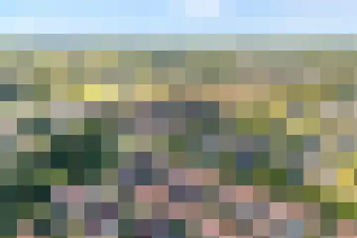 Haeckmate 46 Zwolle thumbnail 43