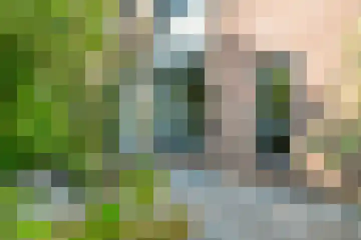 Haeckmate 46 Zwolle thumbnail 5