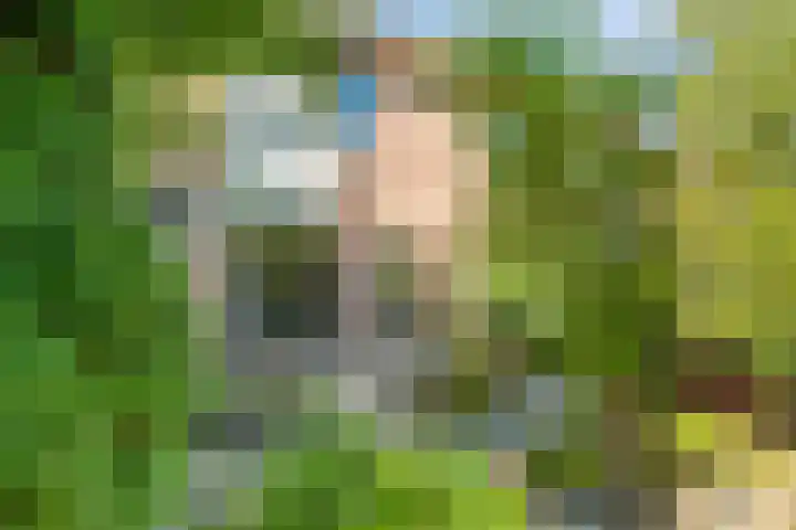 Haeckmate 46 Zwolle thumbnail 6