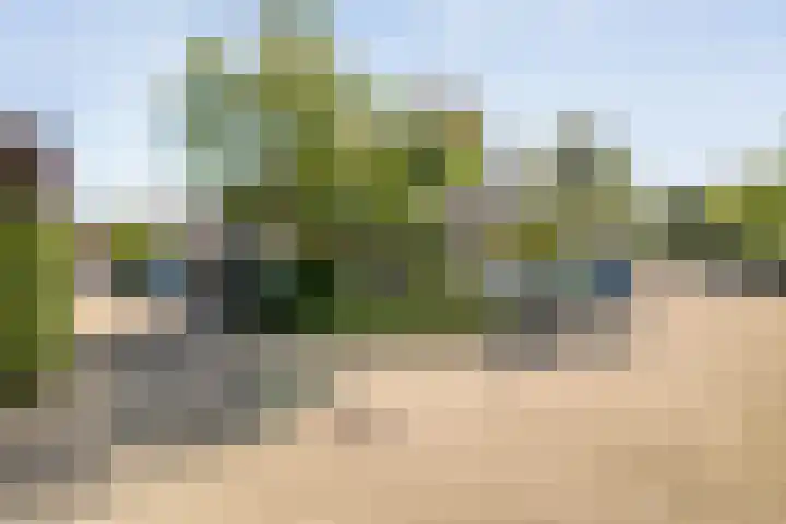 Haeckmate 46 Zwolle thumbnail 8