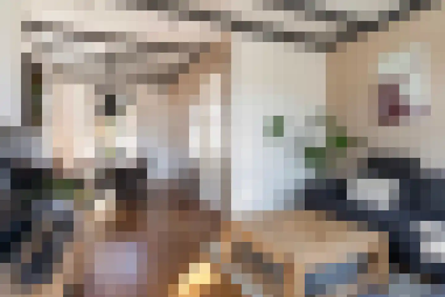 Haedstrjitte 68 Reduzum thumbnail 15