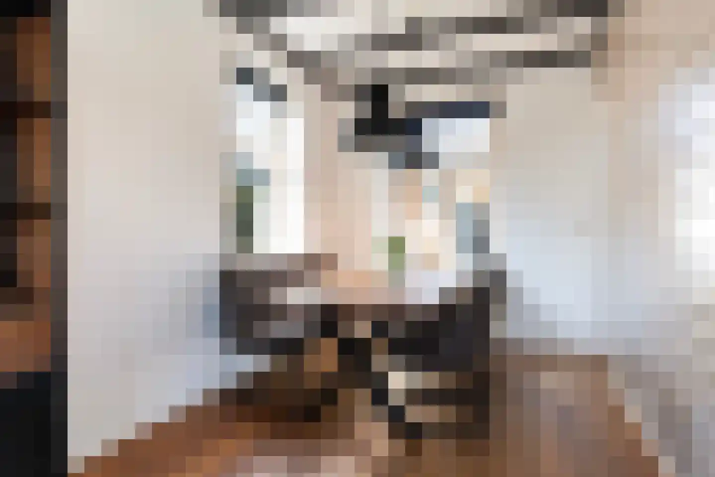 Haedstrjitte 68 Reduzum thumbnail 19