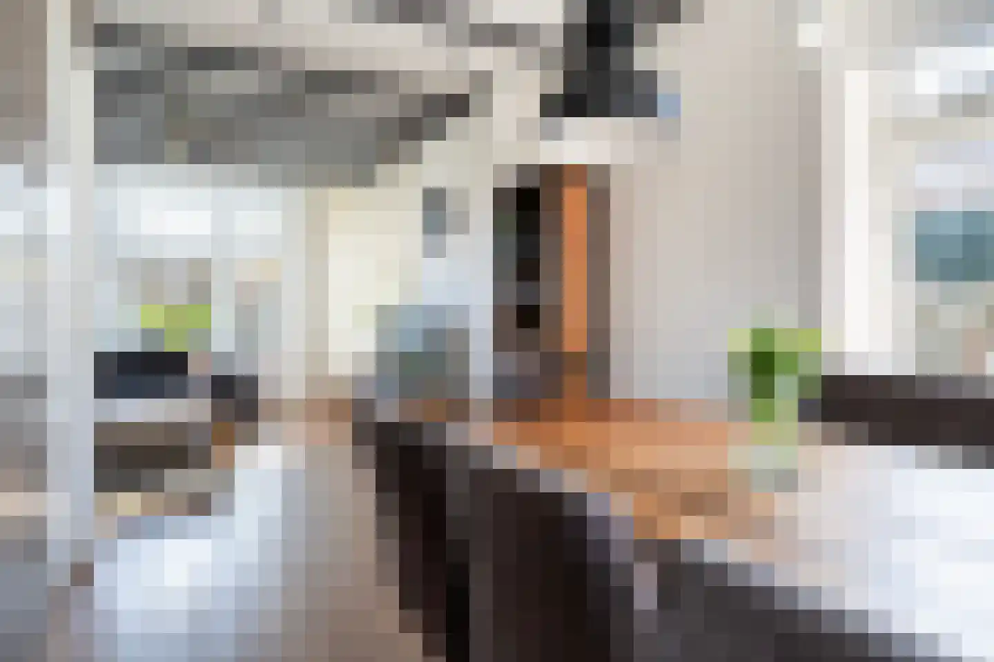 Haedstrjitte 68 Reduzum thumbnail 21