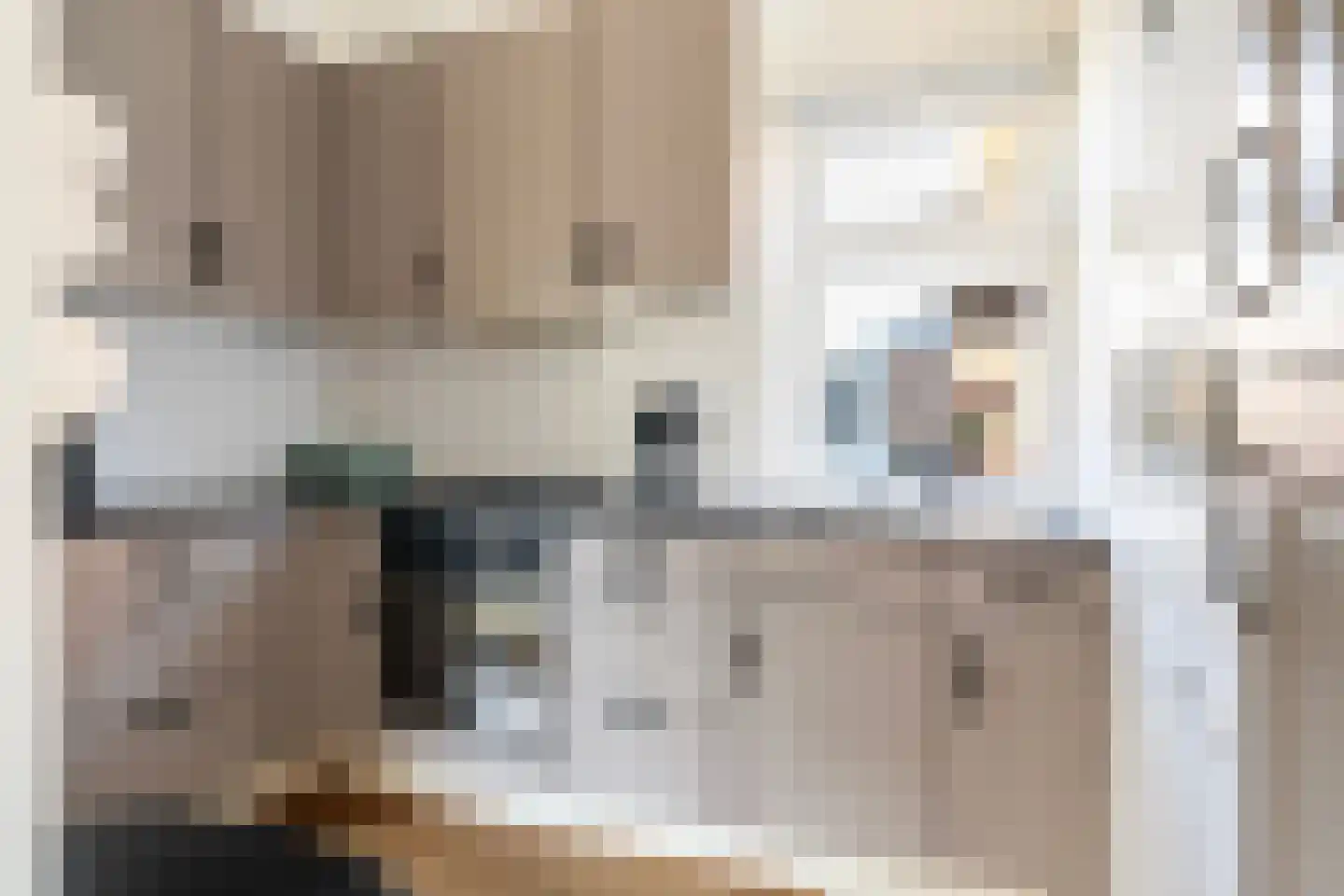 Haedstrjitte 68 Reduzum thumbnail 23