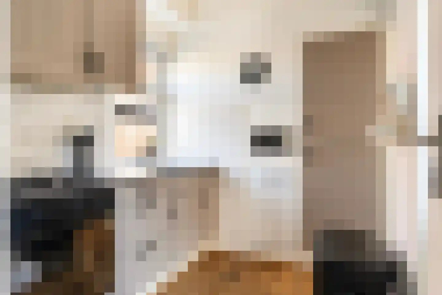 Haedstrjitte 68 Reduzum thumbnail 25
