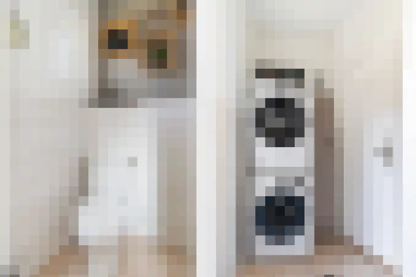Haedstrjitte 68 Reduzum thumbnail 26