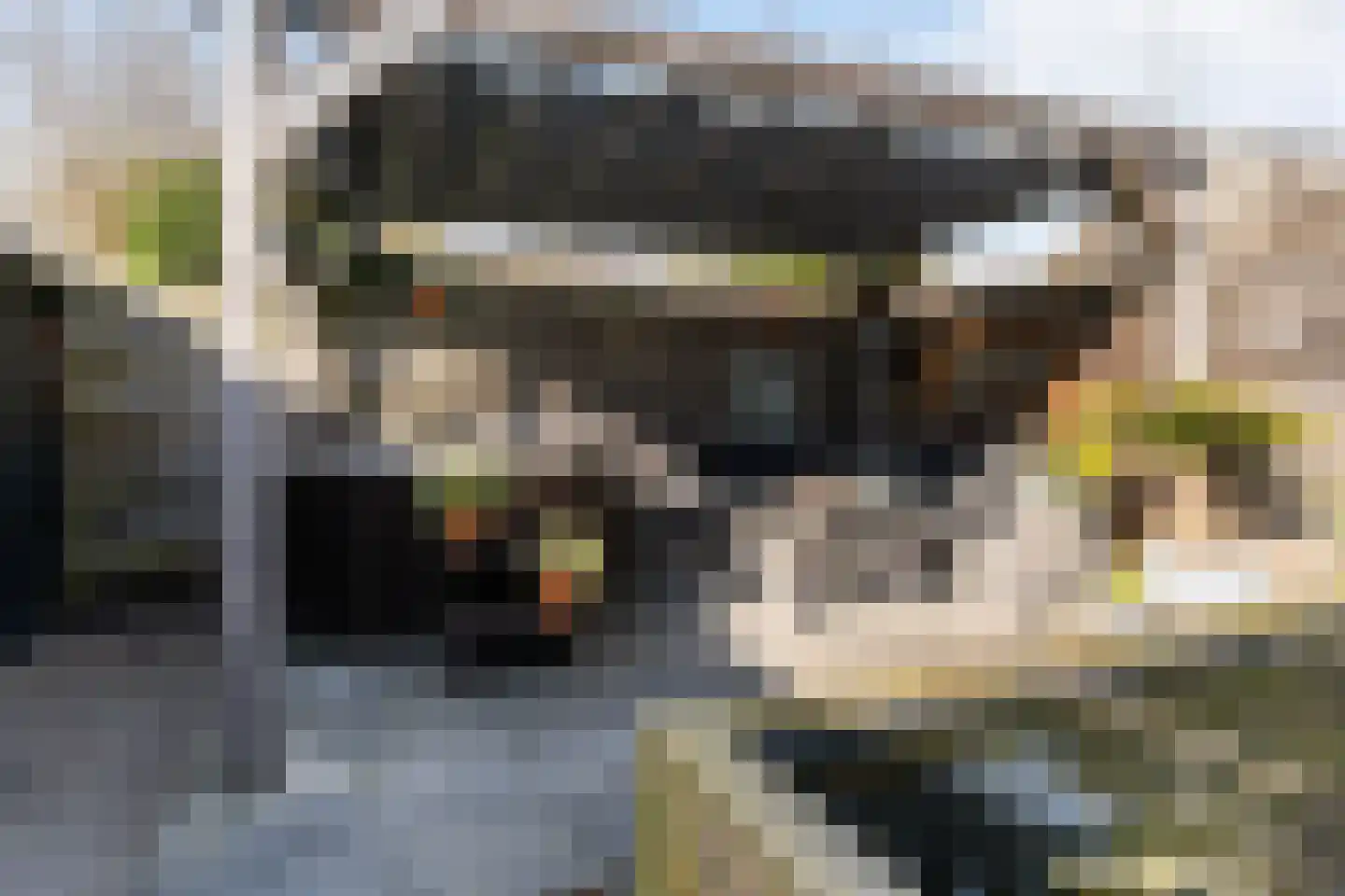 Haedstrjitte 68 Reduzum thumbnail 31