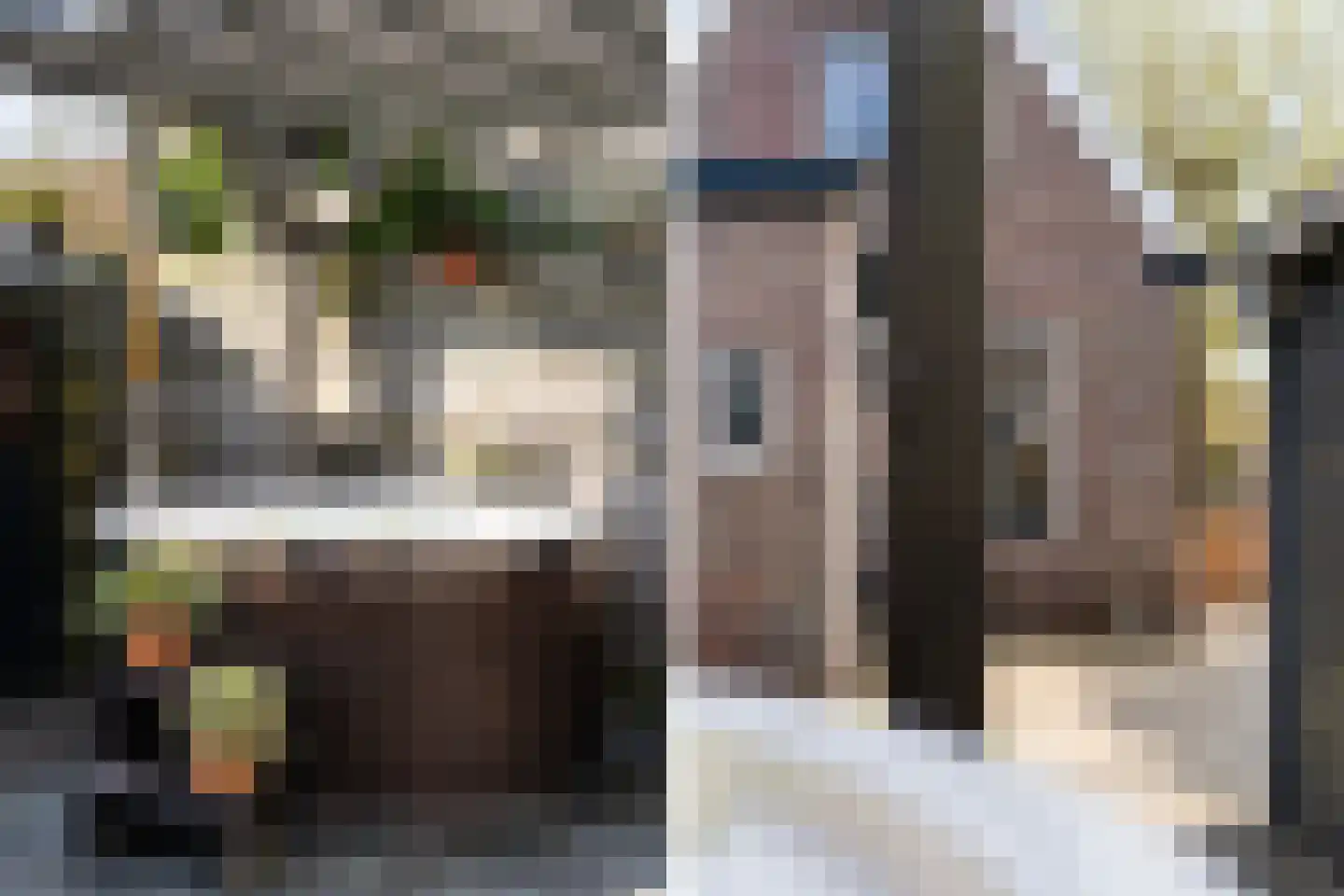 Haedstrjitte 68 Reduzum thumbnail 36