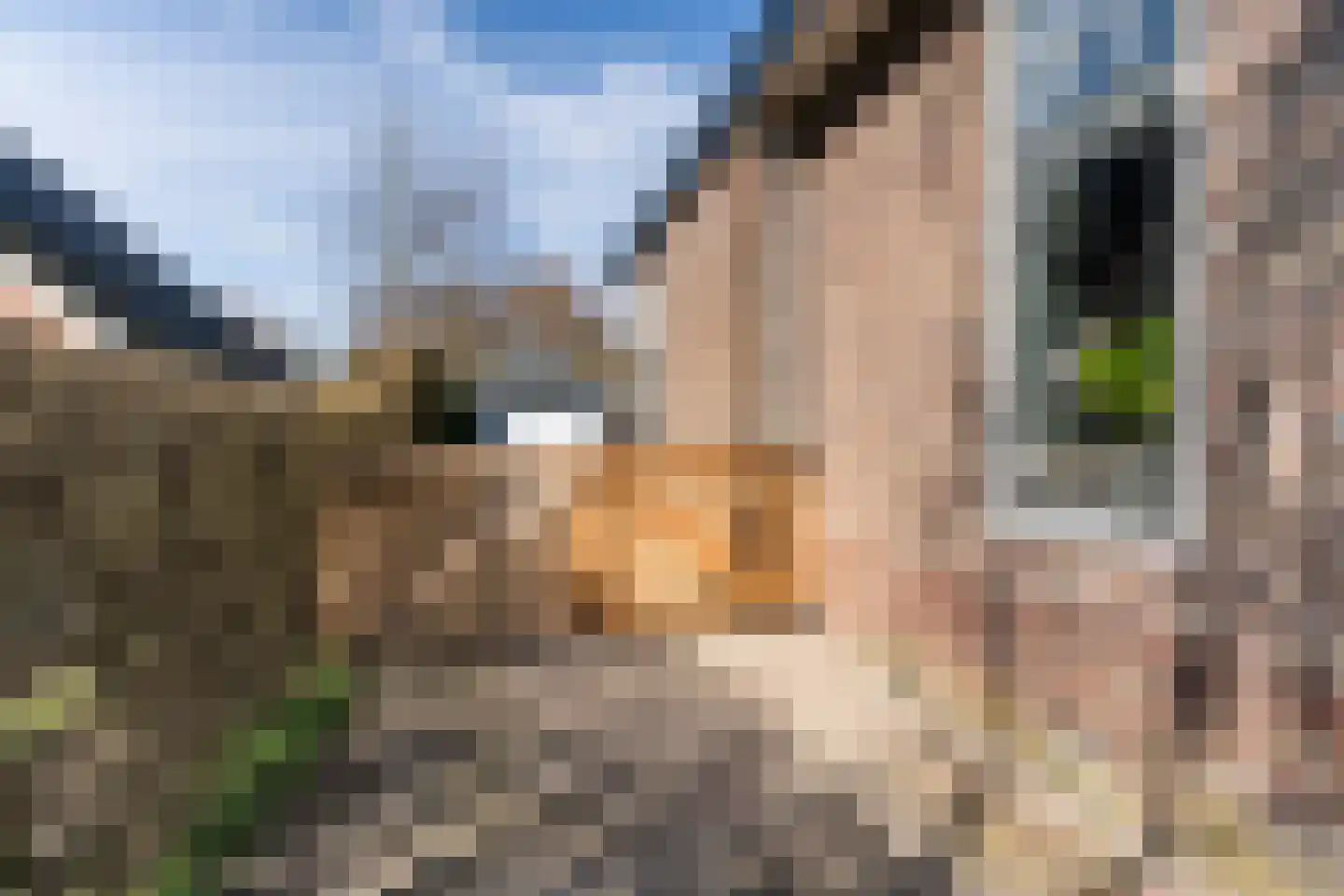 Haedstrjitte 68 Reduzum thumbnail 39