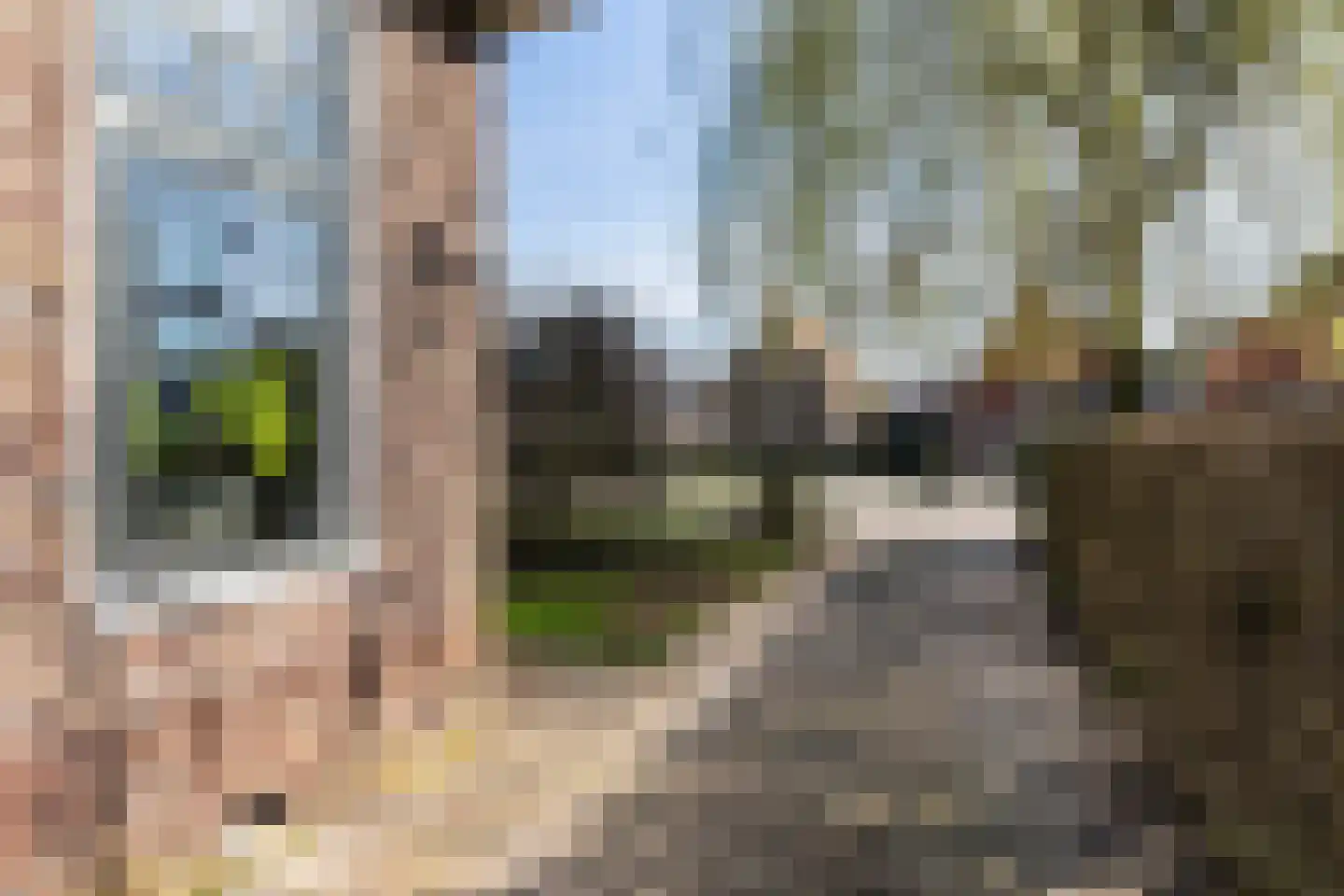 Haedstrjitte 68 Reduzum thumbnail 41