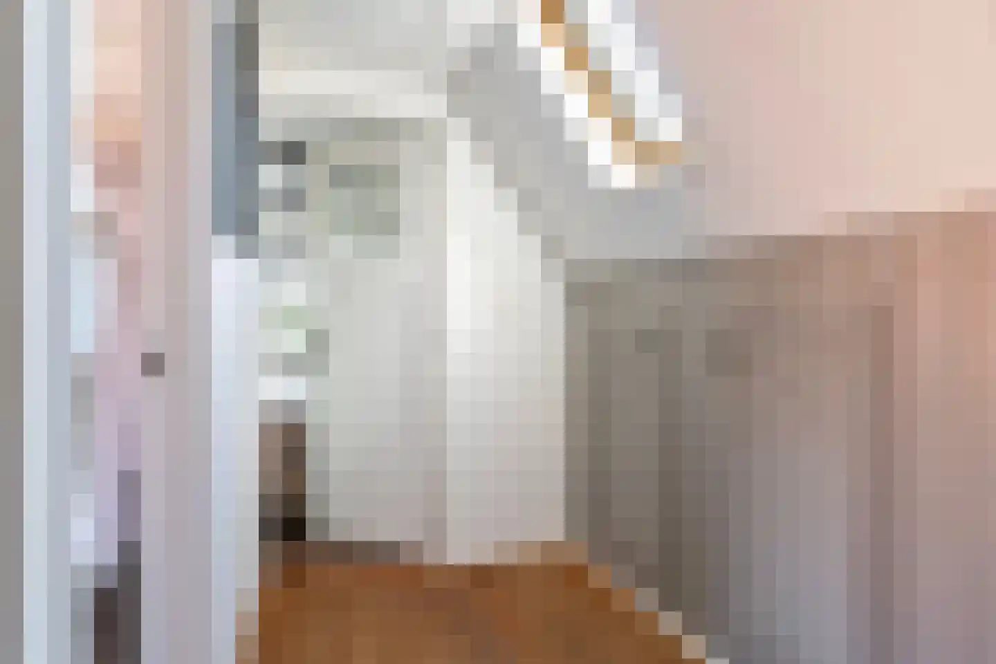 Haedstrjitte 68 Reduzum thumbnail 44