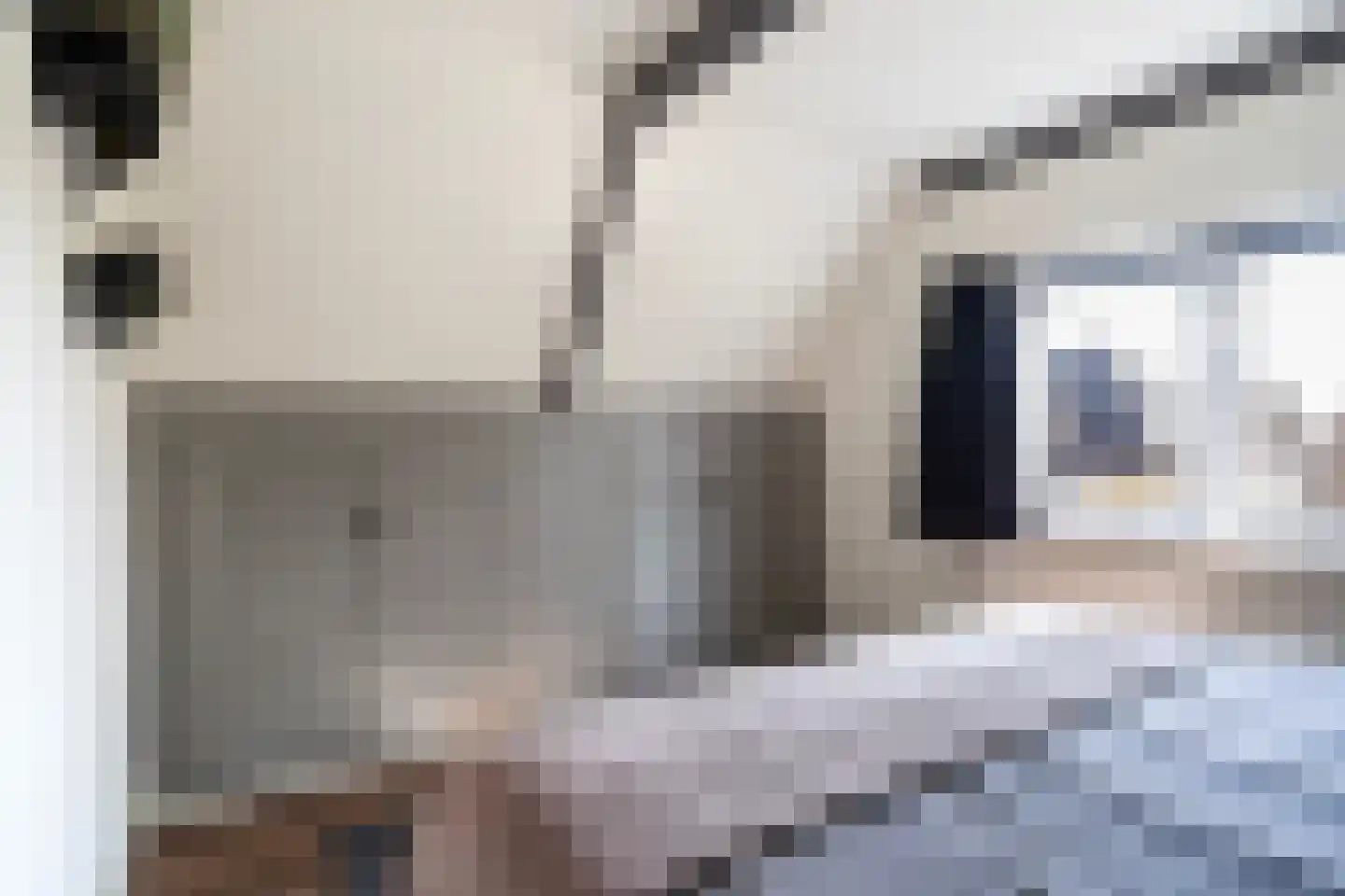 Haedstrjitte 68 Reduzum thumbnail 48